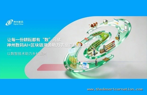 《给准基友找开黑起点：双方都零门槛但需要耐心互相猜的异卡逻辑谜题》